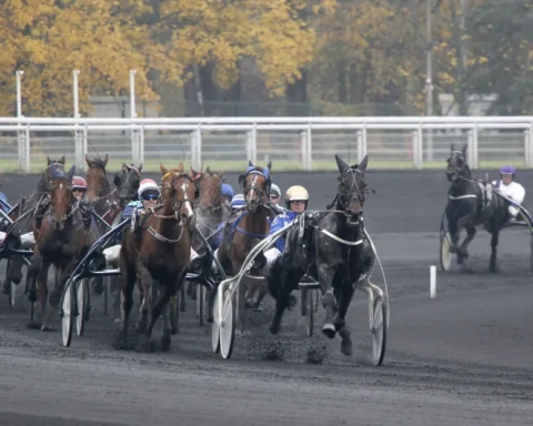 Les pronostics du Quinté de Paris-Vincennes du 24 mai par Jack Vautrin