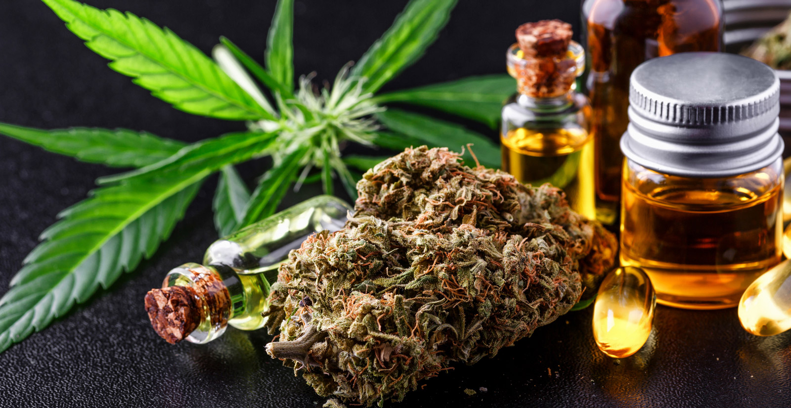 Une étape clé franchie vers la généralisation du cannabis médical en France