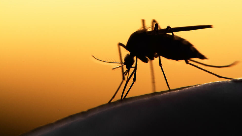 Santé: le paludisme touche toujours largement l'Afrique et ne sera certainement pas éradiqué en 2030