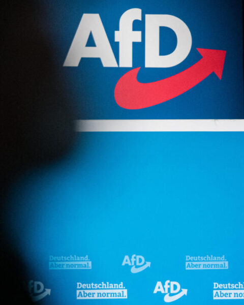 En Allemagne, le renseignement intérieur classe le parti AfD comme "extrémiste de droite"