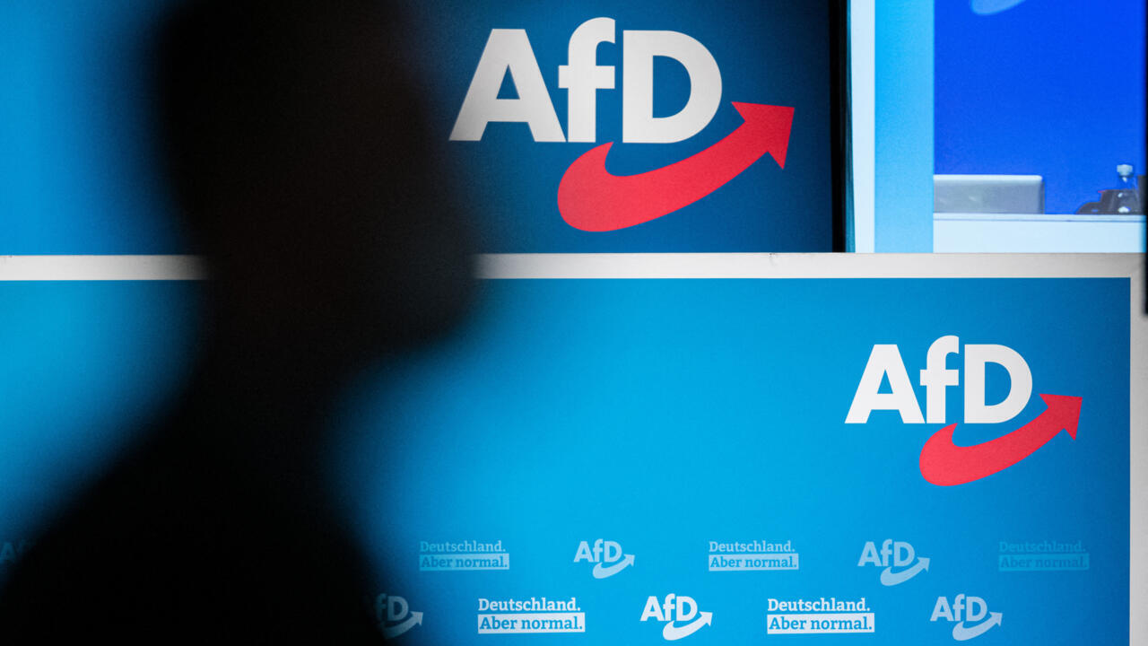 En Allemagne, le renseignement intérieur classe le parti AfD comme "extrémiste de droite"