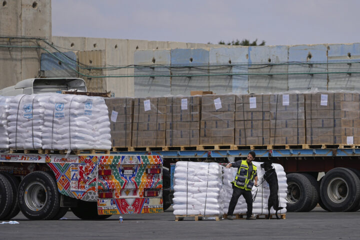 Guerre dans la bande de Gaza : un peu plus de 100 camions d'aide humanitaire sont entrés dans l'enclave jeudi, selon l'agence israélienne en charge de l'acheminement
