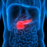 Il y a bien un lien entre la consommation d'alcool et un risque accru de cancer du pancréas, selon une agence de l'OMS