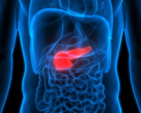 Il y a bien un lien entre la consommation d'alcool et un risque accru de cancer du pancréas, selon une agence de l'OMS