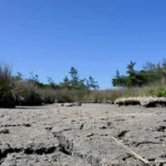 Le réchauffement climatique devrait dépasser 1,5°C sur les cinq prochaines années, selon une agence de l'ONU