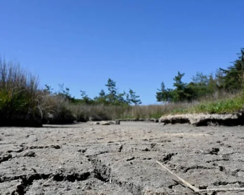 Le réchauffement climatique devrait dépasser 1,5°C sur les cinq prochaines années, selon une agence de l'ONU