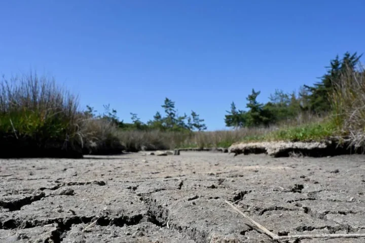Le réchauffement climatique devrait dépasser 1,5°C sur les cinq prochaines années, selon une agence de l'ONU