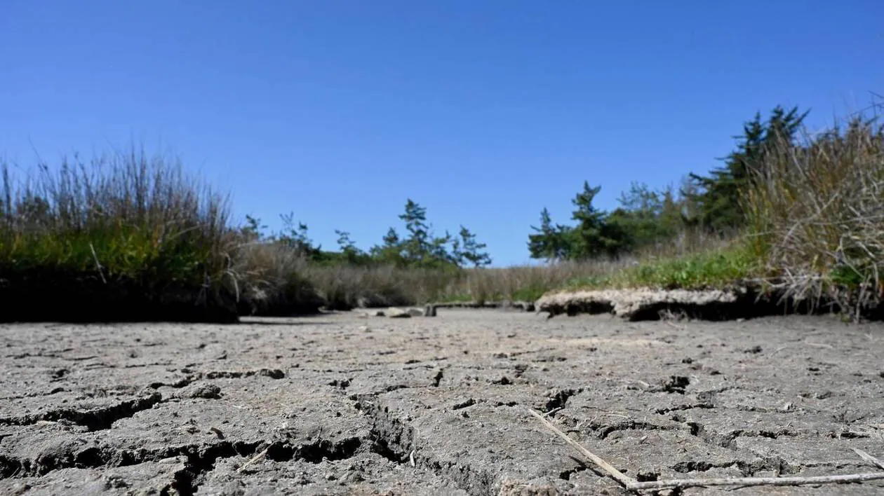 Le réchauffement climatique devrait dépasser 1,5°C sur les cinq prochaines années, selon une agence de l'ONU
