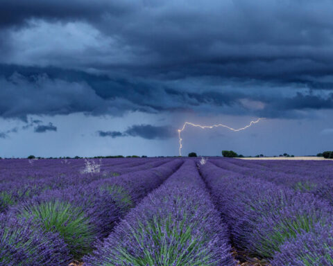Orage dans les Bouches-du-Rhône : les 13 personnes ont été blessées en raison de la « tension de pas »