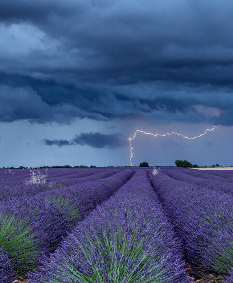 Orage dans les Bouches-du-Rhône : les 13 personnes ont été blessées en raison de la « tension de pas »
