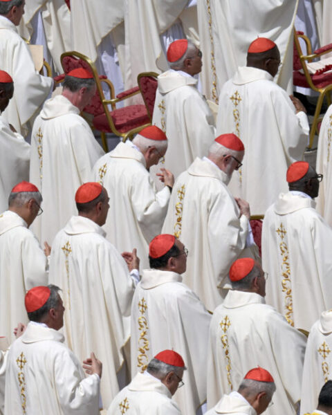 Succession du pape François : qui sont les cardinaux les plus en vue avant l'ouverture du conclave, mercredi ?