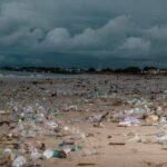 "L'océan va mal" : avant la Conférence de l'ONU à Nice, le baromètre Starfish livre son premier bulletin annuel sur l'état de santé des mers