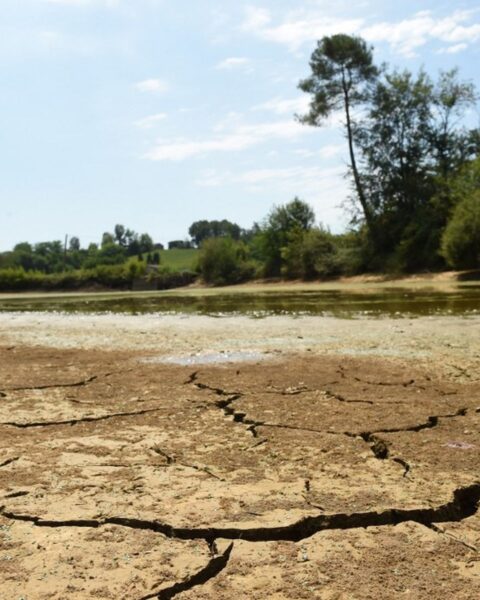 Jusqu'à 38°C à cause d'une "goutte froide"... D'où vient le pic de chaleur qui va frapper la France à partir de mercredi ?