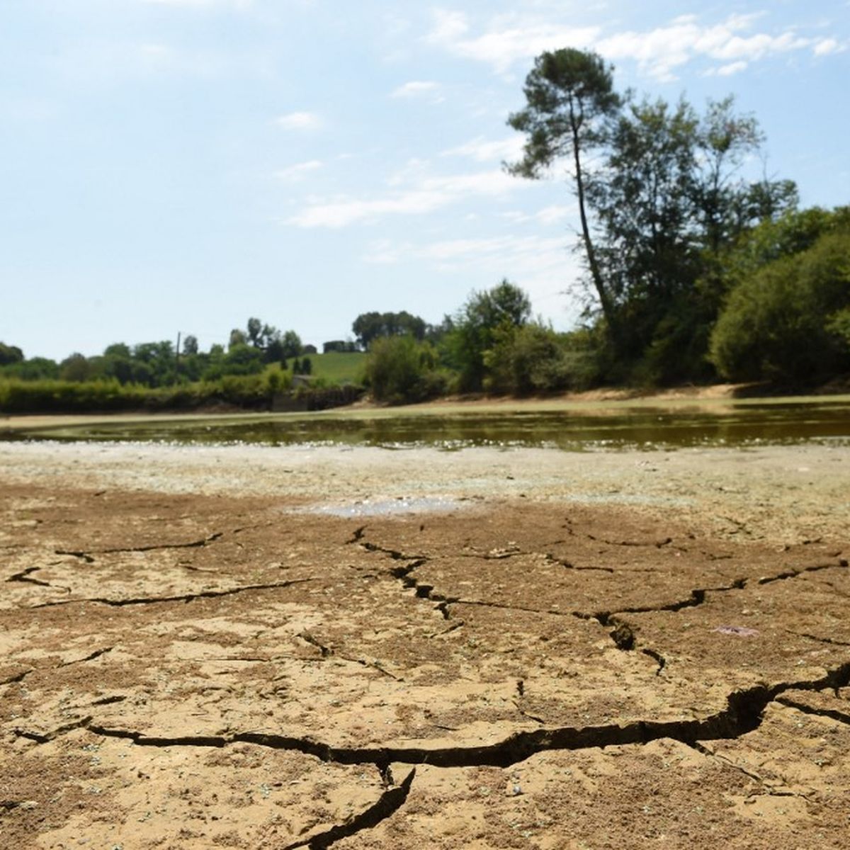 Jusqu'à 38°C à cause d'une "goutte froide"... D'où vient le pic de chaleur qui va frapper la France à partir de mercredi ?