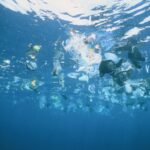 Protection des océans : les dix recommandations de 2 000 scientifiques avant la Conférence de l'ONU à Nice