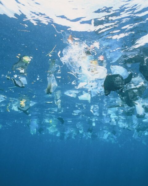 Protection des océans : les dix recommandations de 2 000 scientifiques avant la Conférence de l'ONU à Nice