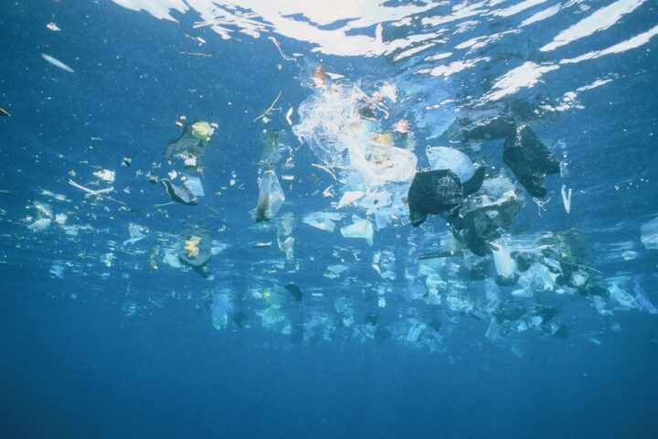 Protection des océans : les dix recommandations de 2 000 scientifiques avant la Conférence de l'ONU à Nice