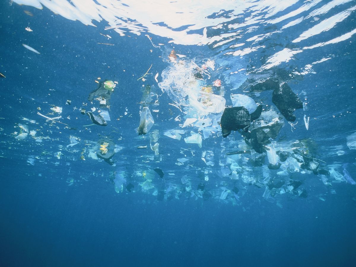 Protection des océans : les dix recommandations de 2 000 scientifiques avant la Conférence de l'ONU à Nice