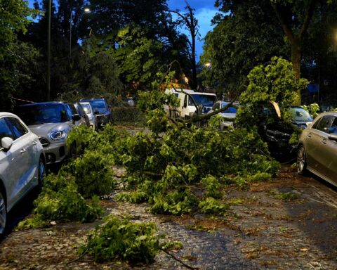 Arbres déracinés, rues submergées et éclairs impressionnants : récapitulatif des orages de mercredi.