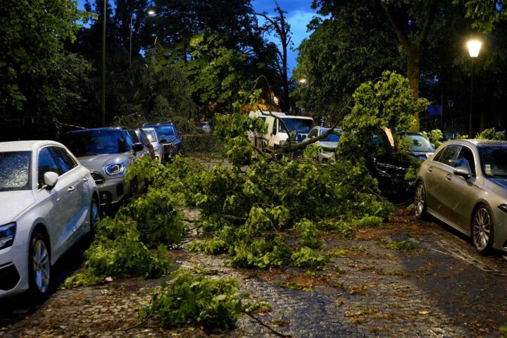 Arbres déracinés, rues submergées et éclairs impressionnants : récapitulatif des orages de mercredi.