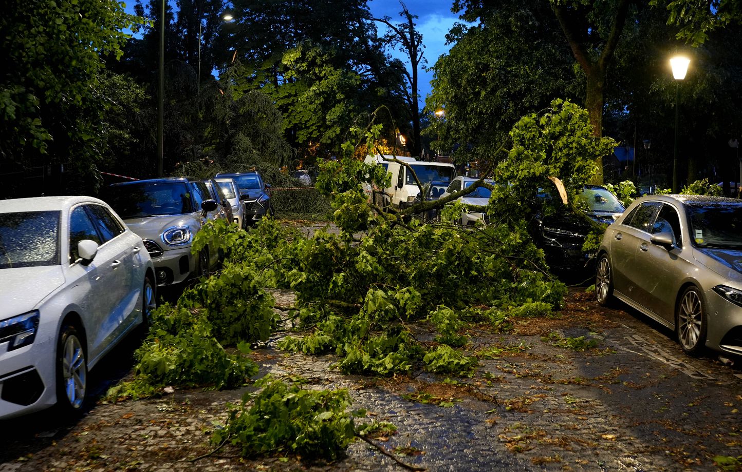 Arbres déracinés, rues submergées et éclairs impressionnants : récapitulatif des orages de mercredi.