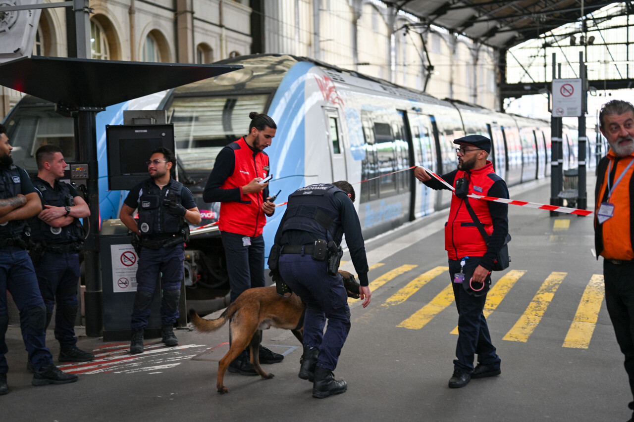 Augmentation des contrôles de police dans les gares et les trains : explications sur les raisons à venir.