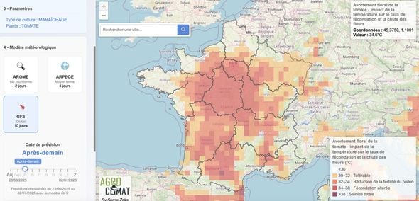 Avec la canicule, l'avortement floral des légumes devient une préoccupation majeure.