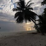 Avec quelle personnalité politique les Français souhaitent-ils partir en vacances ?