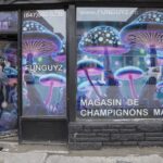 Carte des pays où l'usage des champignons hallucinogènes est légalement autorisé
