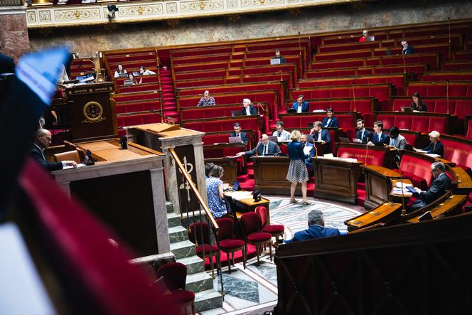 L'Assemblée nationale approuve de manière inattendue la loi de « simplification »