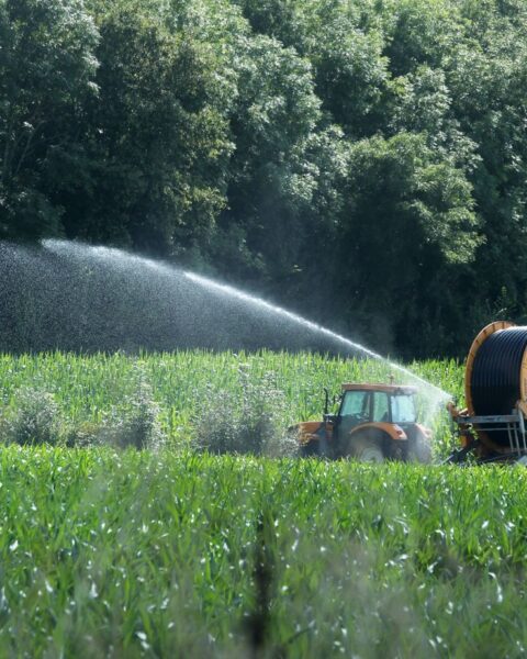 Près de 90 % de la France pourrait être confrontée à une pénurie d'eau d'ici 2050.