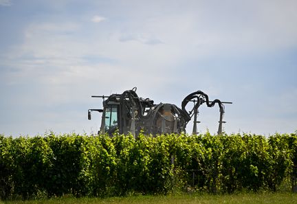 Trois associations dénoncent l'État pour avoir "bloqué" la publication d'un rapport sur les impacts des pesticides sur les riverains.