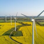 Un moratoire sur l'éolien et le photovoltaïque approuvé par l’Assemblée grâce aux voix de la droite et de l'extrême droite.