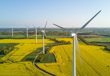 Un moratoire sur l'éolien et le photovoltaïque approuvé par l’Assemblée grâce aux voix de la droite et de l'extrême droite.