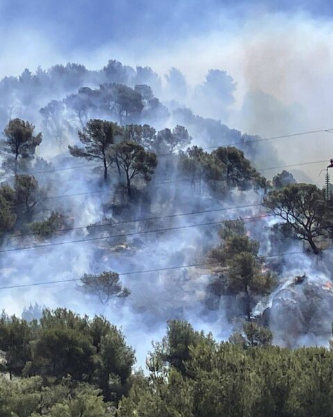 A7 et A51 fermées près de Marseille en raison d'un incendie violent
