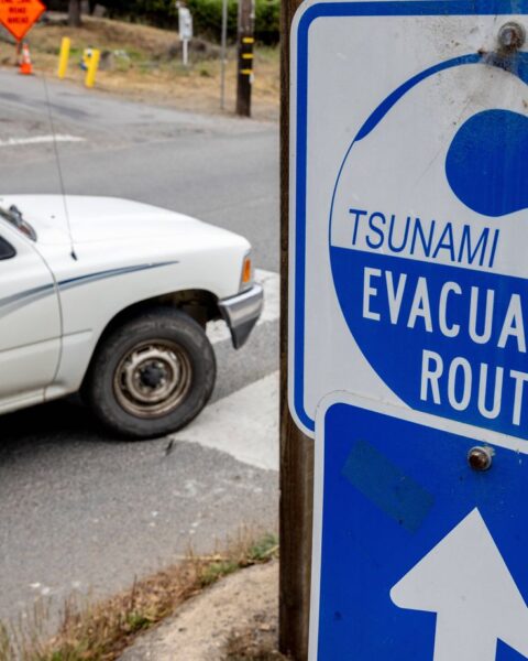 Alerte tsunami dans le Pacifique : attention aux fausses vidéos