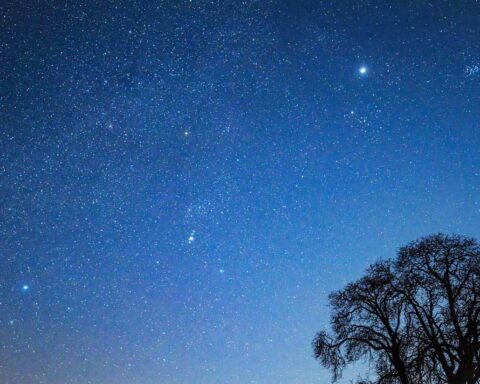 Cinq informations essentielles pour observer les étoiles cet été