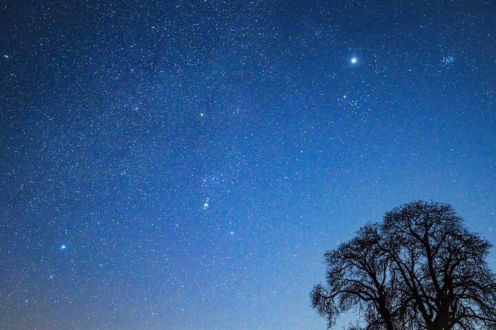 Cinq informations essentielles pour observer les étoiles cet été