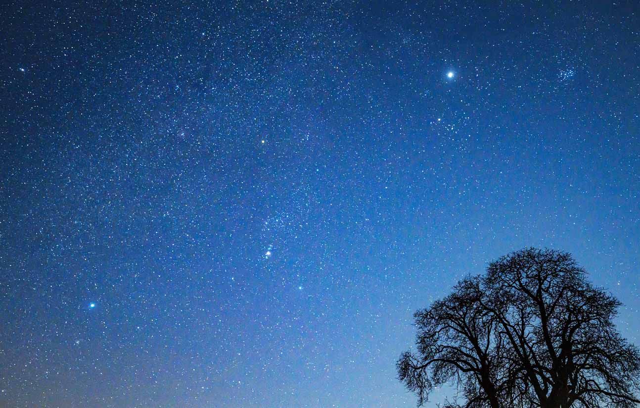 Cinq informations essentielles pour observer les étoiles cet été