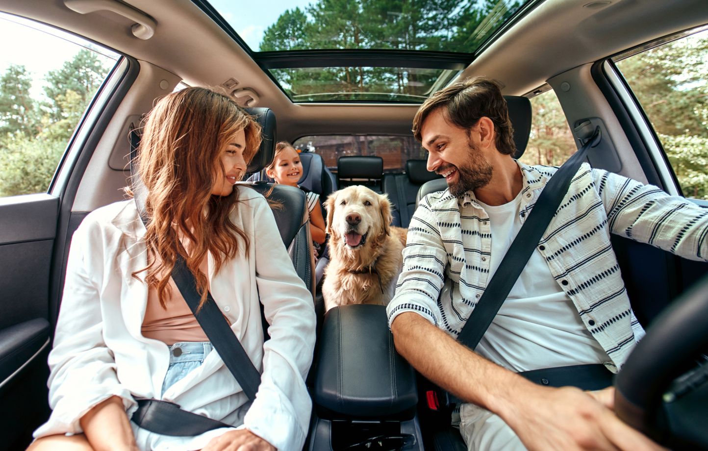 Comment assurer la sécurité des animaux lors des voyages en voiture