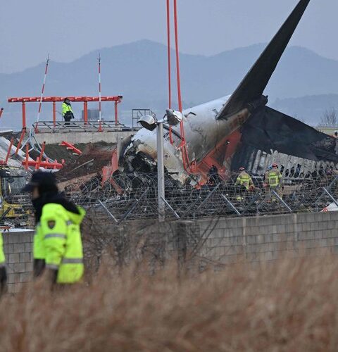 Crash d'un avion en Corée du Sud : un rapport souligne la responsabilité des pilotes pour avoir omis de couper le moteur approprié.