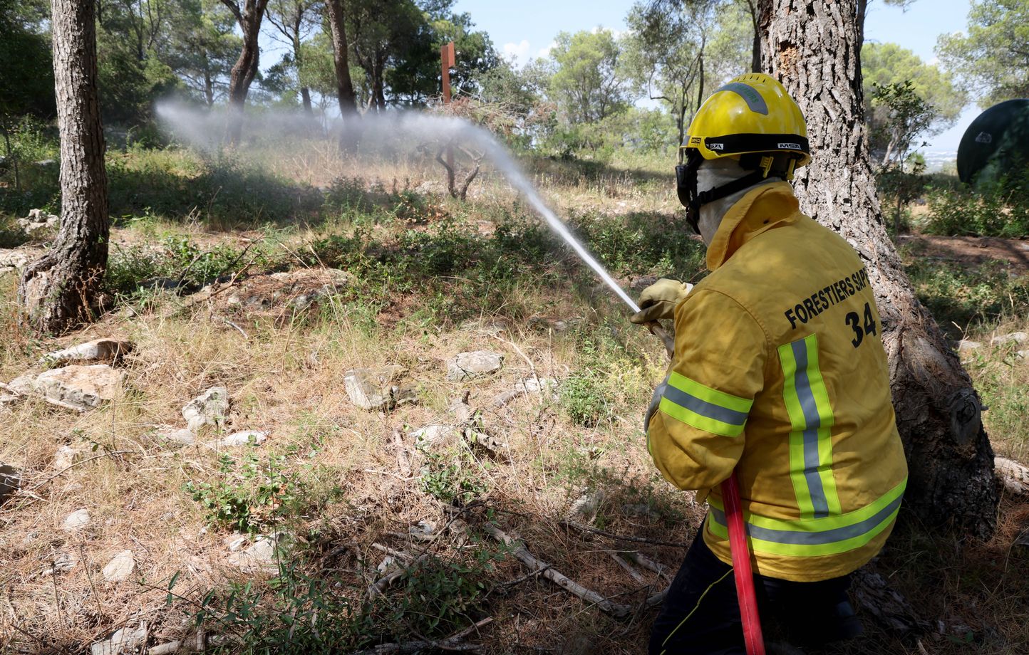 Dix départements en alerte orange pour incendie, trois passeront en rouge mercredi