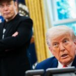 Elon Musk critique Donald Trump en évoquant des propos sur « le parti du gros cochon » et appelle à son retour en Afrique du Sud.
