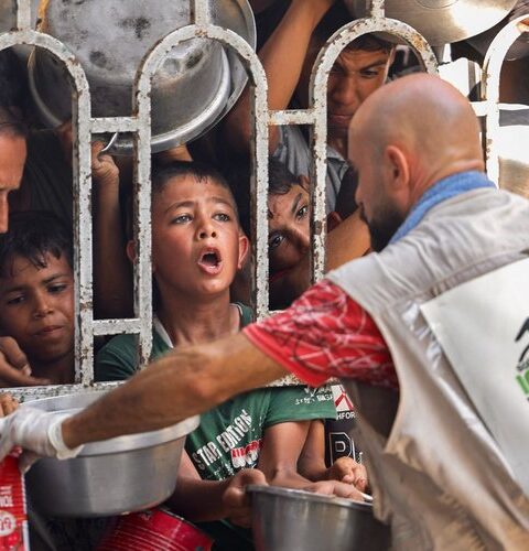 ENTRETIEN. Gaza : "La famine menace également les travailleurs humanitaires, une situation sans précédent dans l'histoire des conflits", avertit le président de M...