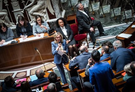 "Instrumentalisation" ou "réveil citoyen" ? La pétition contre la loi Duplomb suscite des dissensions au sein du gouvernement et du corps politique.