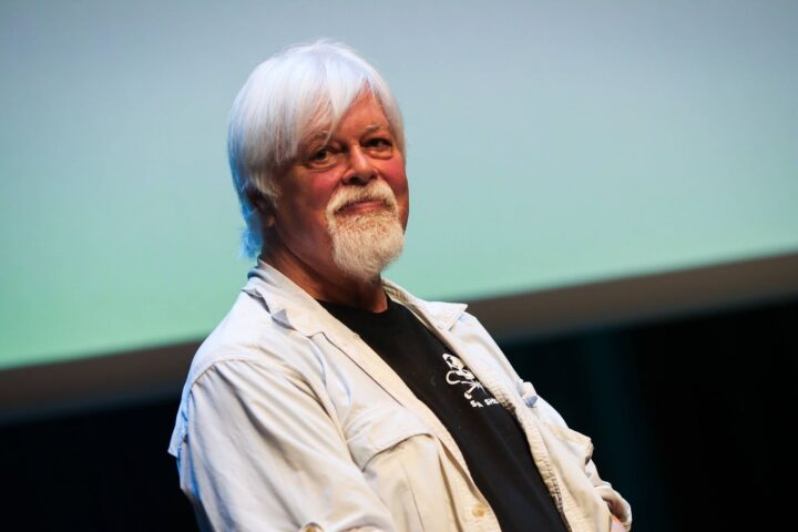 Interpol annule la notice rouge contre le militant écologiste Paul Watson