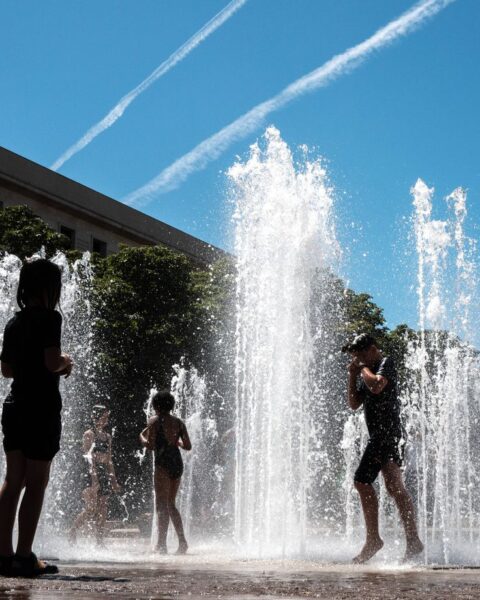 La canicule atteint des niveaux extrêmes, Bayrou reste en position de force et les municipales à Paris se précisent.