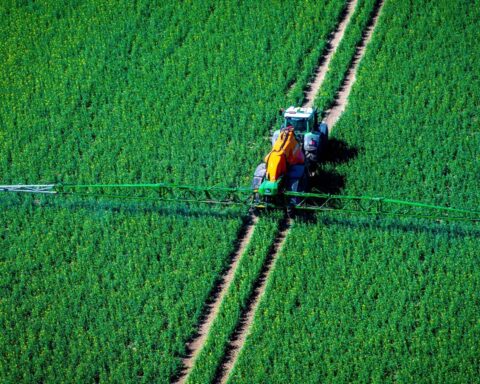 L'assemblée adopte la loi agricole en dépit des avertissements écologiques