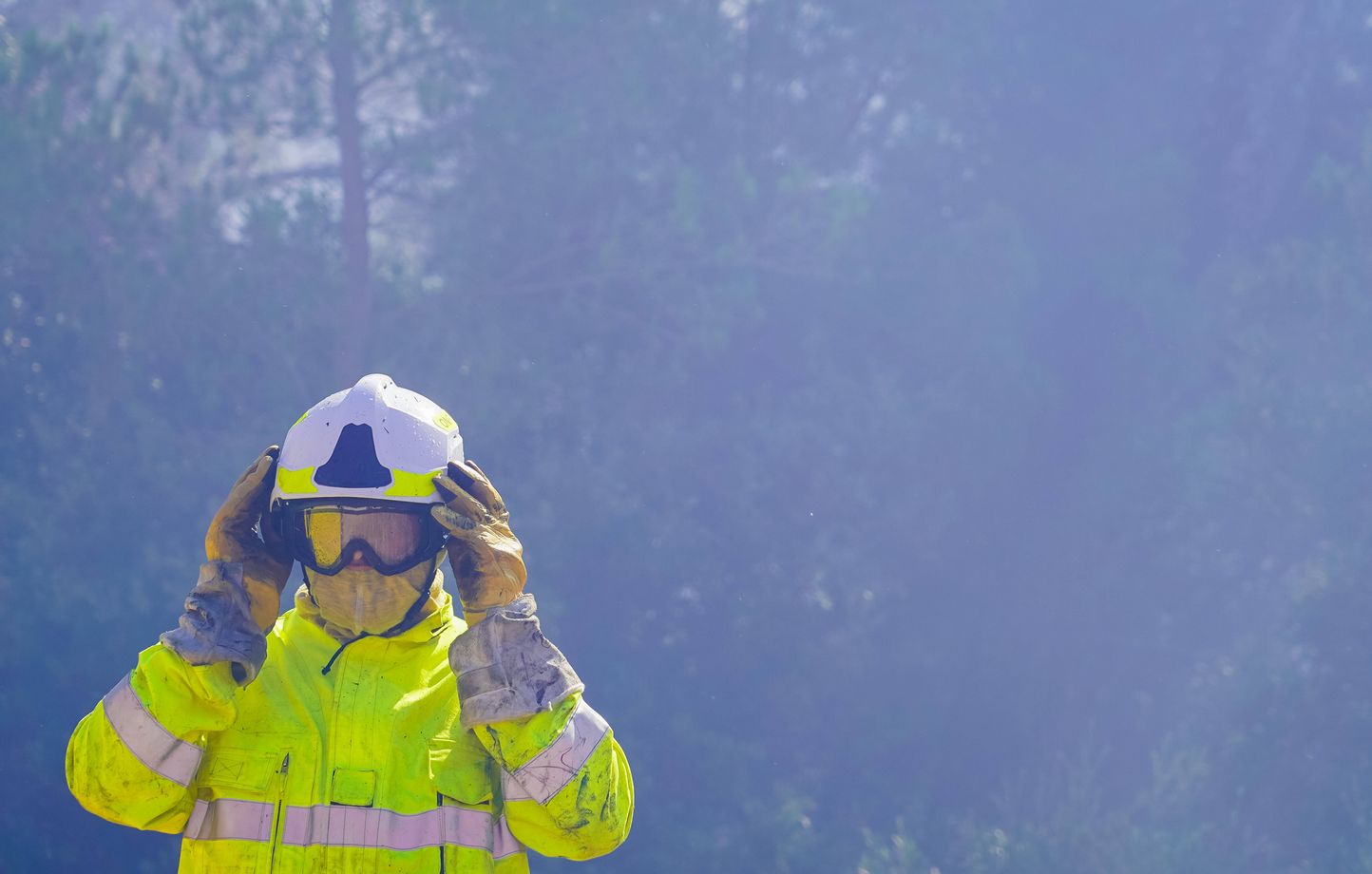 Le nombre d’incendies et d’hectares brûlés en France augmente chaque année
