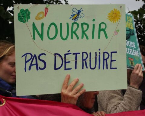 Le succès retentissant de la pétition pourrait-il entraîner l'abandon de la loi Duplomb ?